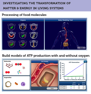 Anatomy of the SimScientists Human Body Systems suite